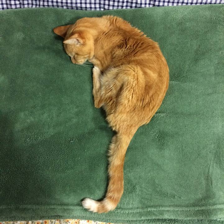 1a421215 d7ee 4d5e a419 3847f5dbacea 1538096650381