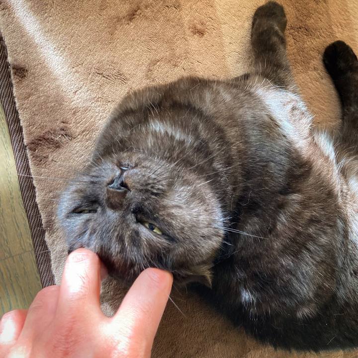 1a4239ff 4bd4 4be7 bc85 0fa8045796eb 1637414783535