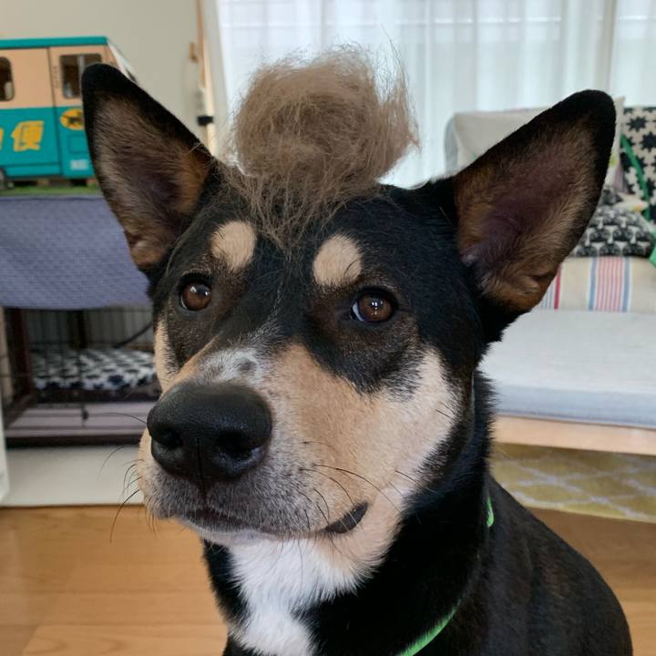 1a42a102 9100 4221 80e8 dbc10c6902cd 1549171462483