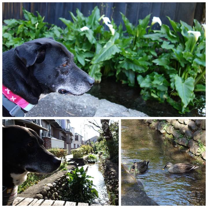 1a42fa04 4d12 4ca4 b5de aa2216a17c41 1743817896485