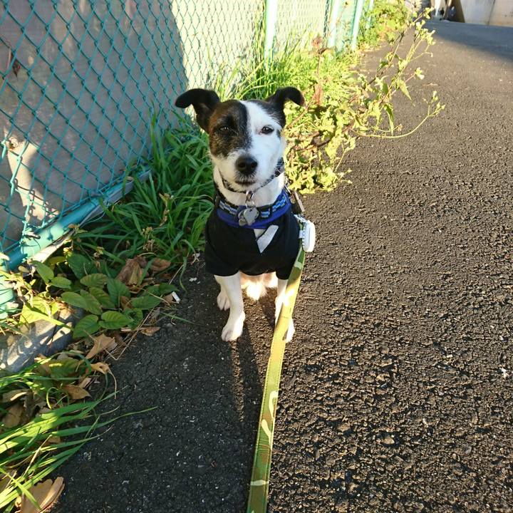 1a430ba3 9fff 4399 a63f 9fbacdf272d9 1511734541413