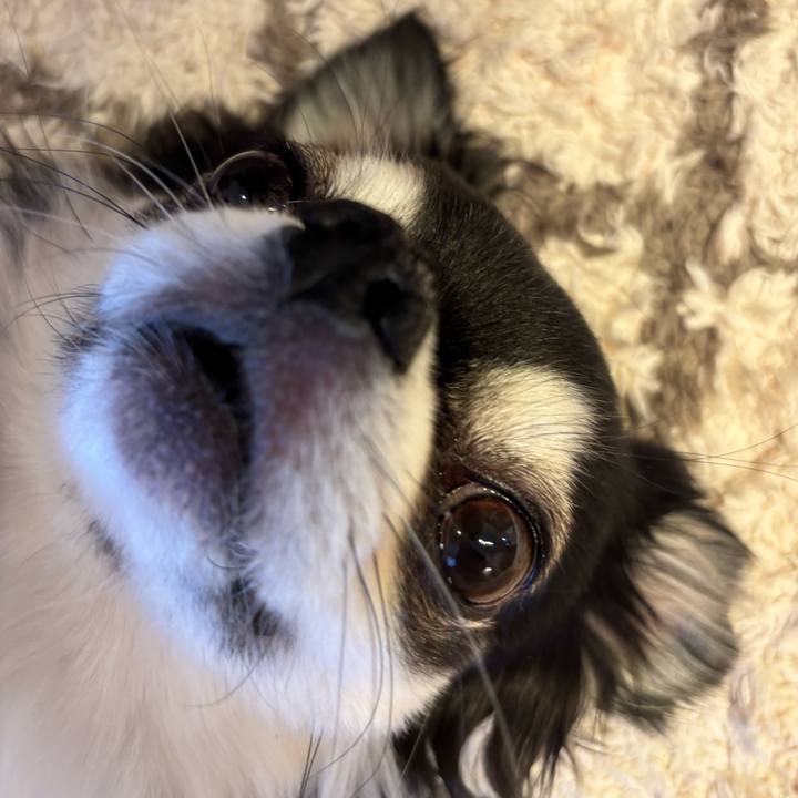 1a431e42 8f29 42ea 81cc 11acf24ffbe8 1742056797670