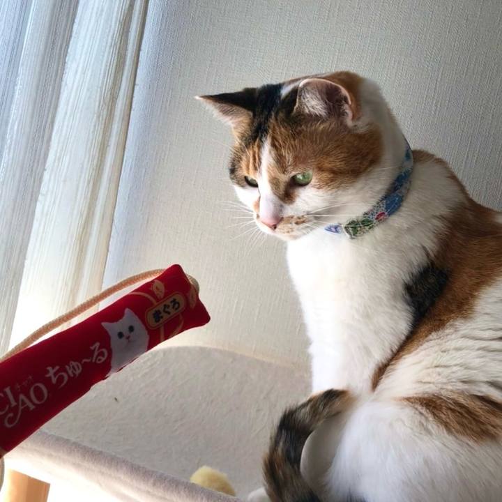 1a435e38 e28e 4822 a364 b682ff9b3f41 1710092795592