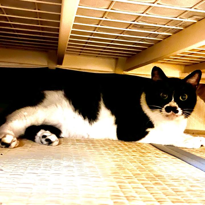 1a43634e 4818 4544 9f12 3bd1b9810f92 1682772022727