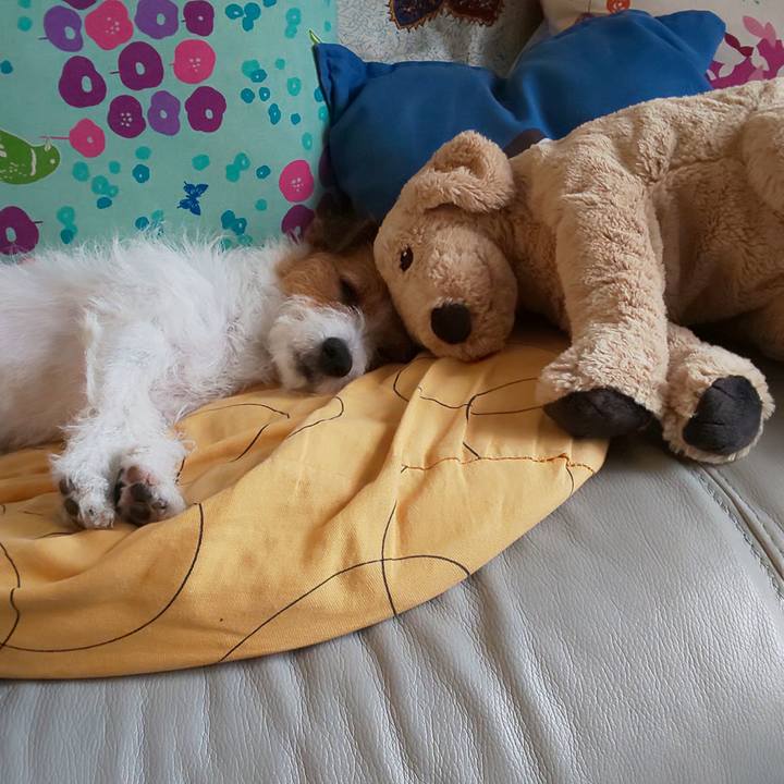 1a439ae2 4393 466a 97a0 cd5fd2c205fe 1567409767667