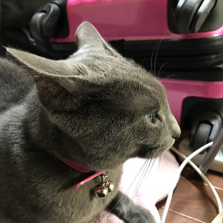 1a43ae0f c40e 49e7 b0ab 1f10ba7aedb6 1519944782935