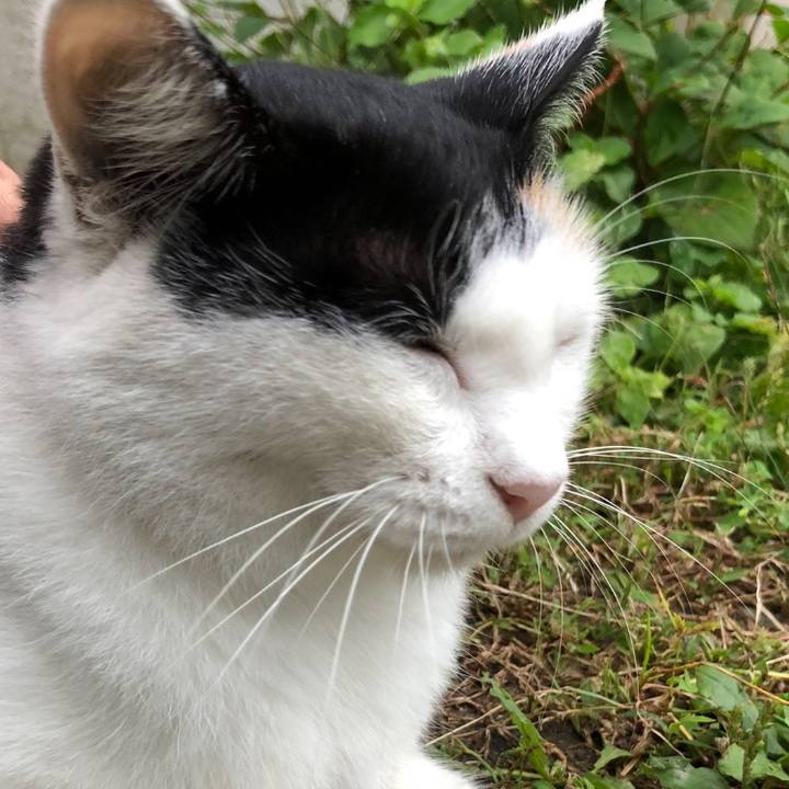 1a43ddef d3ea 4a41 876e 14a678efda12 1601071833670