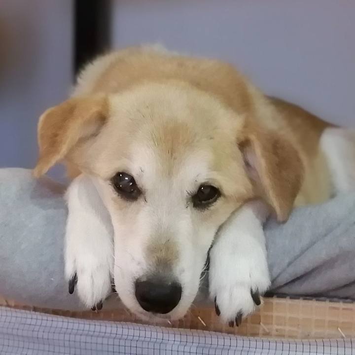 1a4435a3 ad4c 4169 afb4 ebe23a6272fd 1613209328498