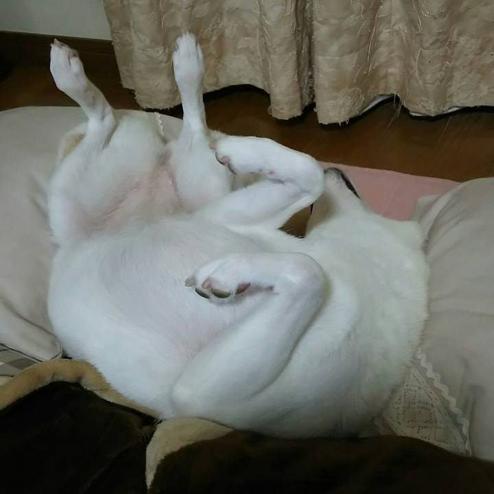 1a443a93 fa02 4769 af55 00a21e4f0c9d 1537191595067