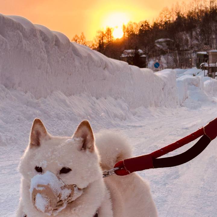 1a4457d4 ff48 42b5 8b3c 15a1274cf86d 1770849691523