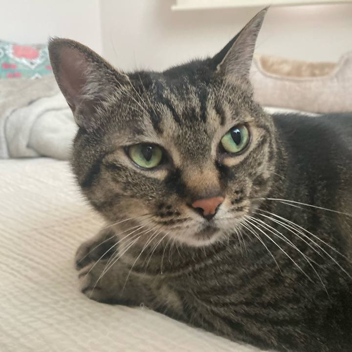 1a446aa0 130e 4c66 b2c7 4518446ea025 1749426008024