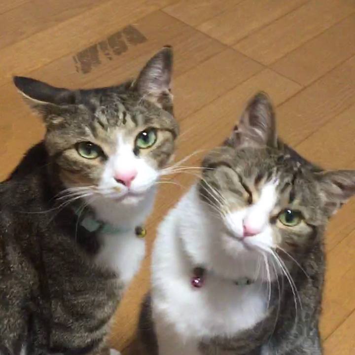 1a447d62 ee91 40c9 8fa9 744a2a841e21 1698618708007