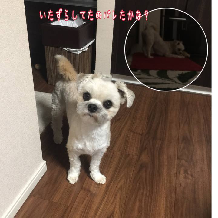 1a44869c 702c 43ef 812e 426744894b26 1526121172641