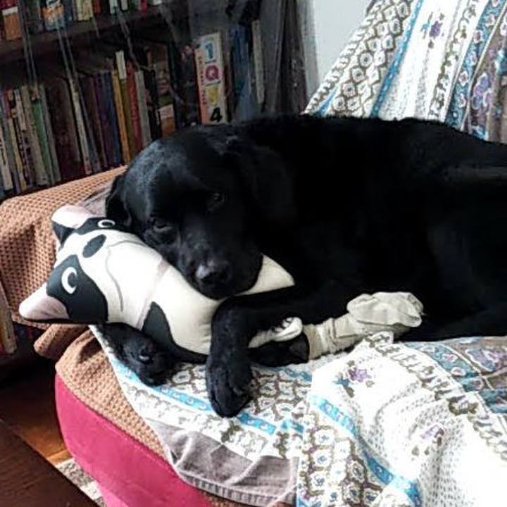 1a449eed ca00 4688 8aa1 3a7ca503c728 1691807445573