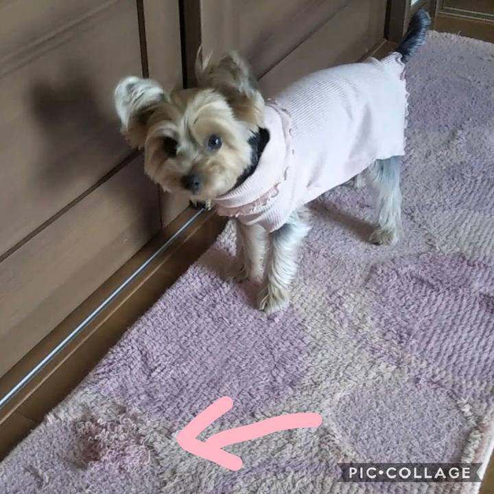 1a44cb3b 852f 46d0 a710 28ec09f6a933 1582703113605