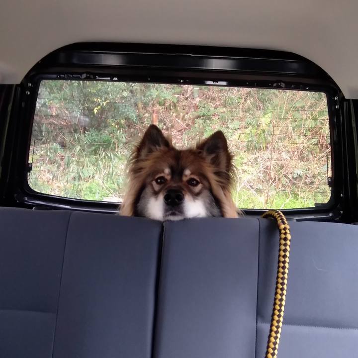 1a44e11e 877f 4dac 9e89 d8bd406c9733 1582875030928