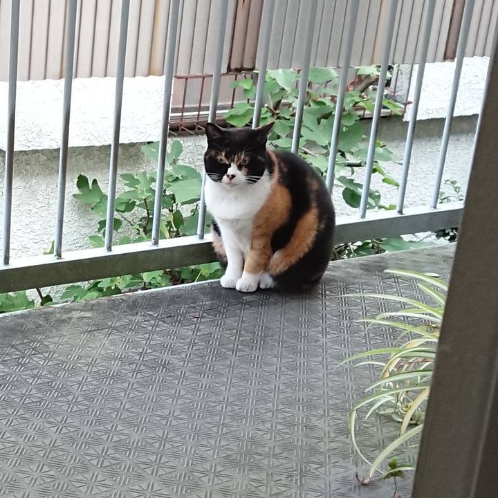 1a44fd33 a4d8 4525 9676 82764553b8cc 1603063503749