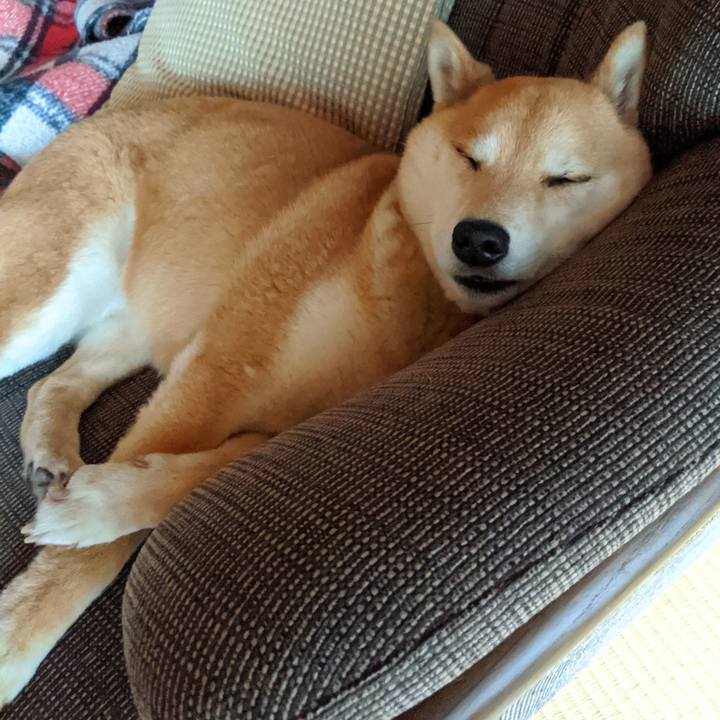 1a45217d bc2a 43f2 847c 86b420424af5 1589075572482