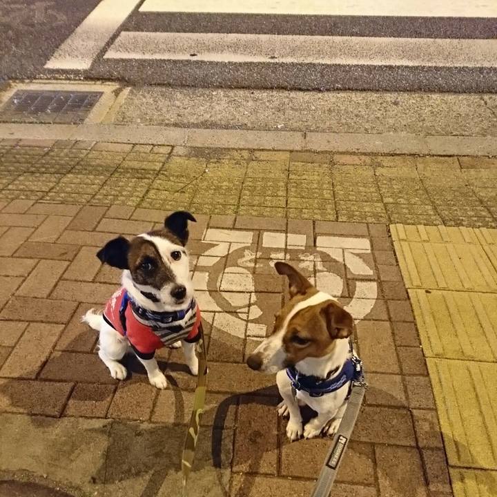 1a452c37 793d 4920 8478 1414e6271fc7 1524831539628