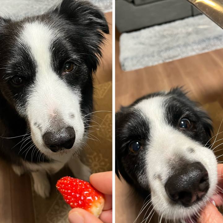 1a4561d0 2fbf 46bd abf2 4f3266a70b3b 1766918916339