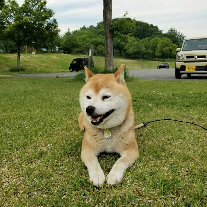 1a456439 a06d 41cd bb4f eacbb3ae1268 1653895996372