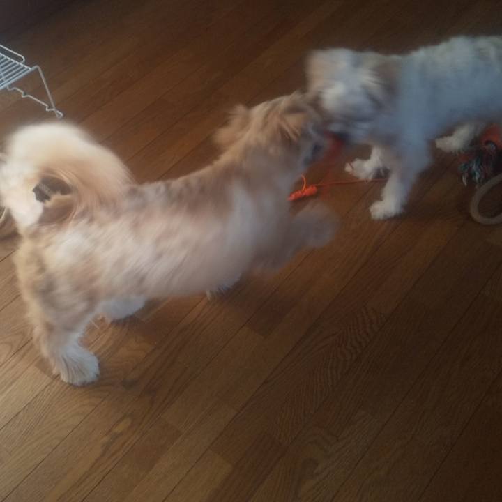 1a457eb2 61a8 432c bd52 0c450b9516f0 1694849343182