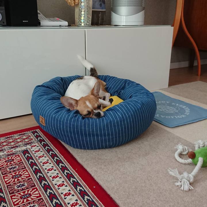 1a45aa48 cde3 4c11 8d36 b0acc1f2583b 1531617841848