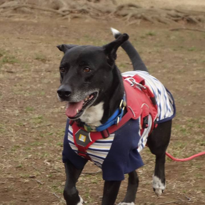 1a45ce9c 6e11 4e8a ad52 d5367f297817 1677803921786