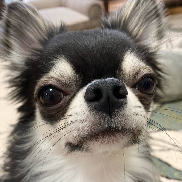 1a4624e9 c001 4df7 819b 1ea58d9696bb 1622950458339