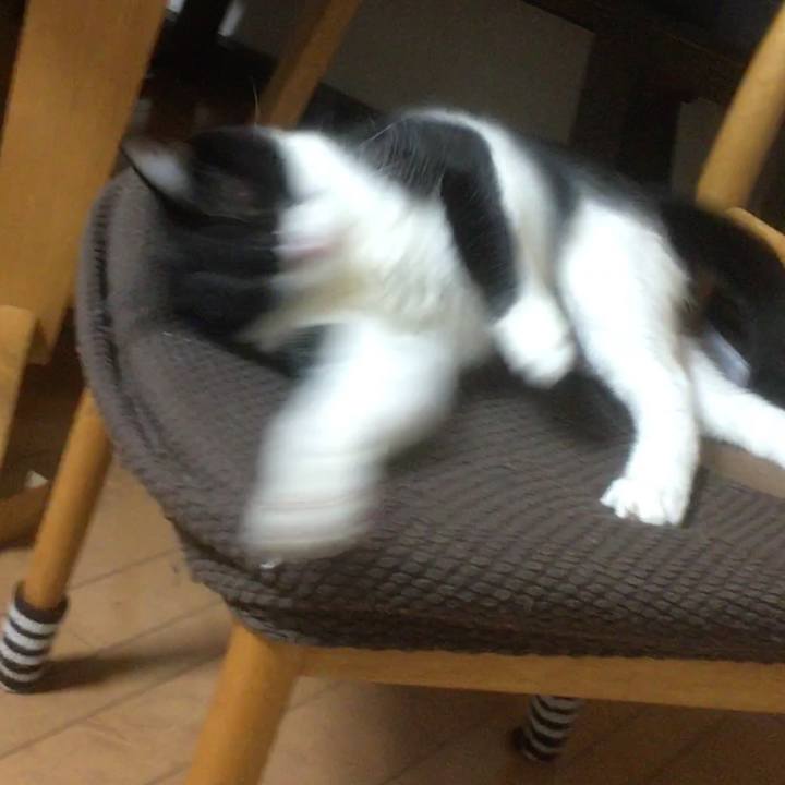 1a4661a9 e2ed 4465 80c0 747501e6de05 1546964031513