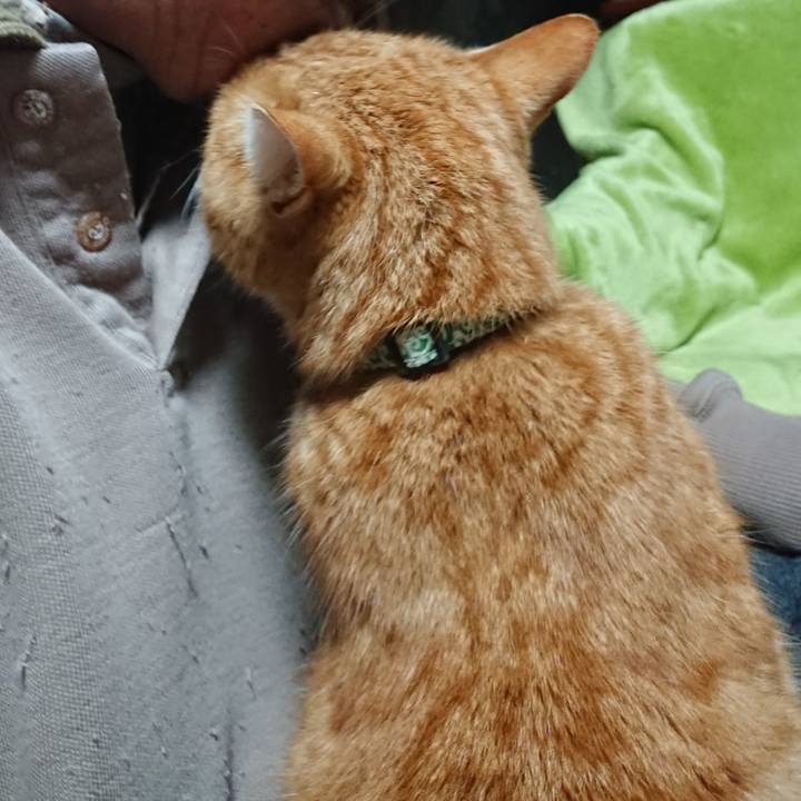 1a466432 9b3e 4db7 b6be 61dc768878bb 1582146626634