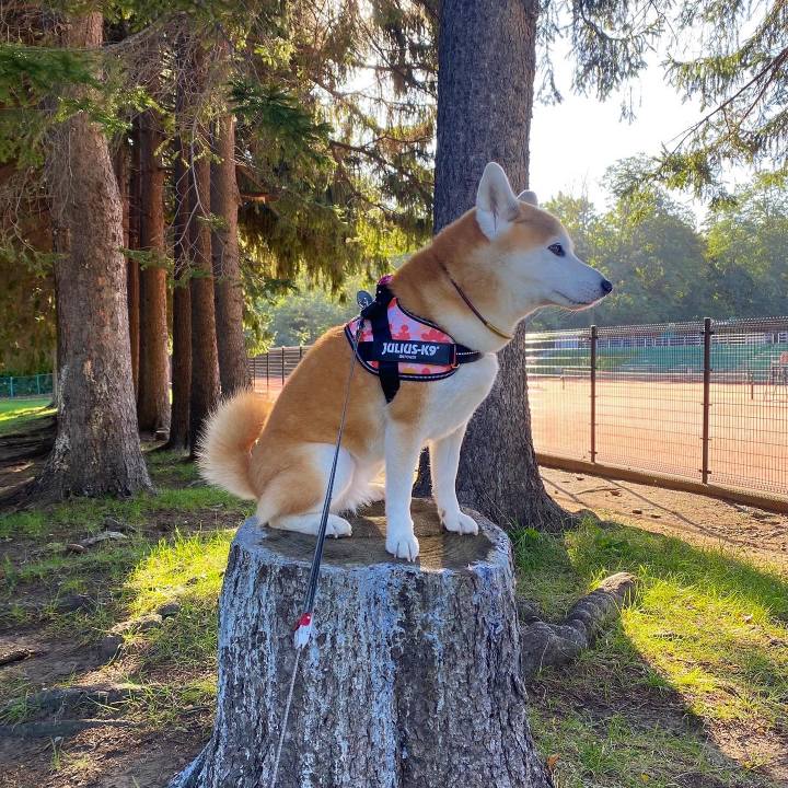 1a4696cb 223e 40b5 903f ce227cf1e0f7 1697155498760