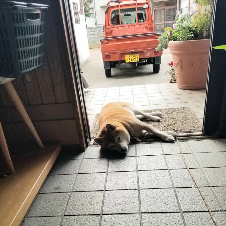 1a470047 5a62 445d 998a 41047ca8c45c 1667882433875