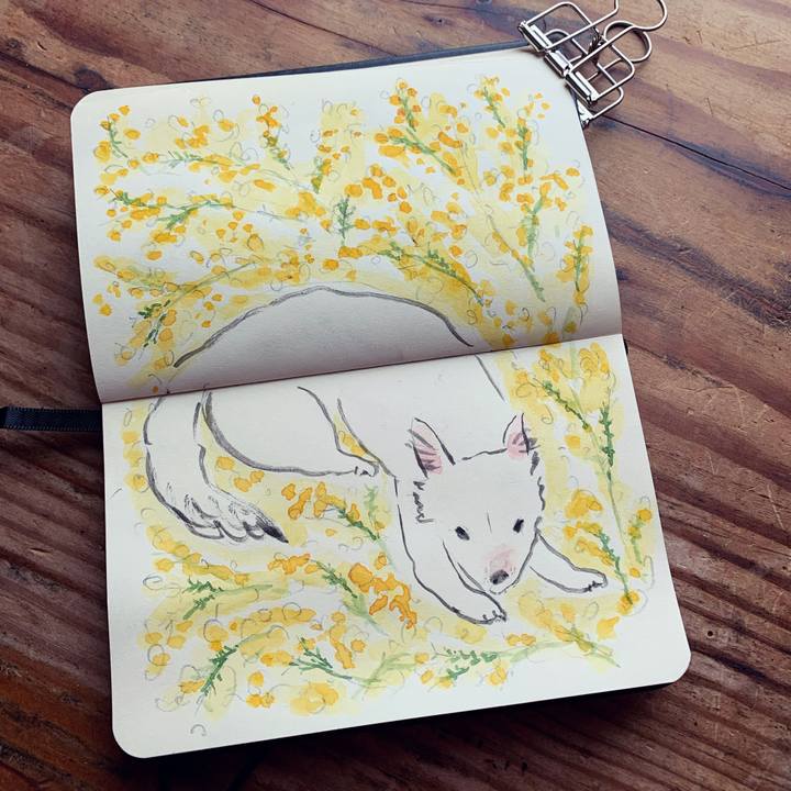 1a477ab8 4b99 4854 b4df 6b84053681e7 1645316831651