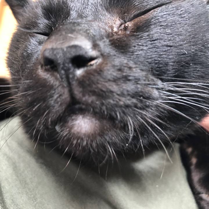 1a478377 e1ab 41da aa11 93edb59b3948 1679797550160