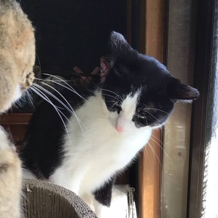 1a47ab61 f645 4531 a18c 40e17b560f9c 1741950178097