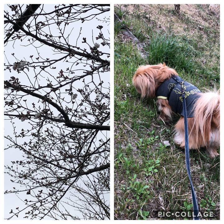 1a47acd2 ef9e 42fa 98db bec1152cf435 1553552295790