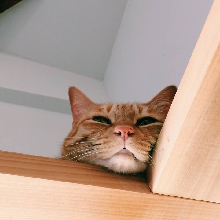 1a47b95d dc5b 4624 814d 49bf6d701590 1572071857894