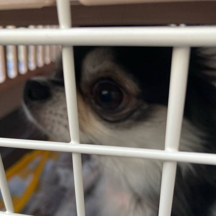 1a47d19b 3800 480a bbf4 cf31492d9ca6 1711798496948