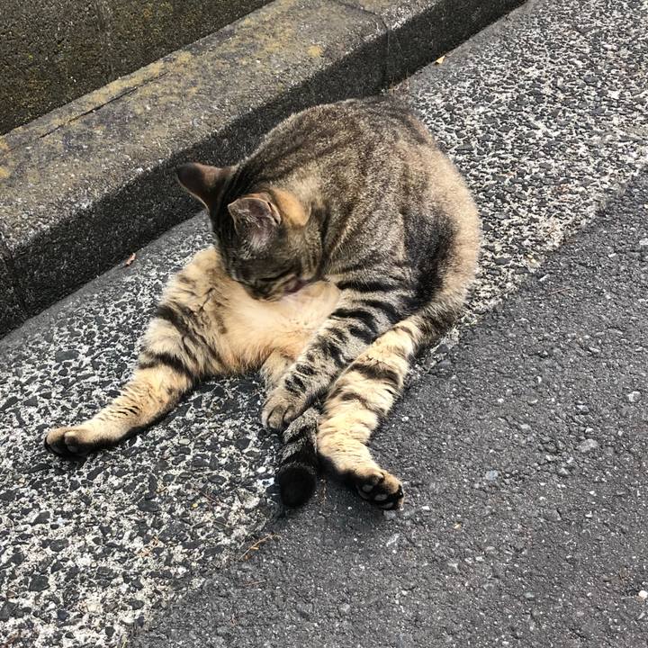 1a47d84e 82c4 4420 966e 4402896deb92 1531829691835