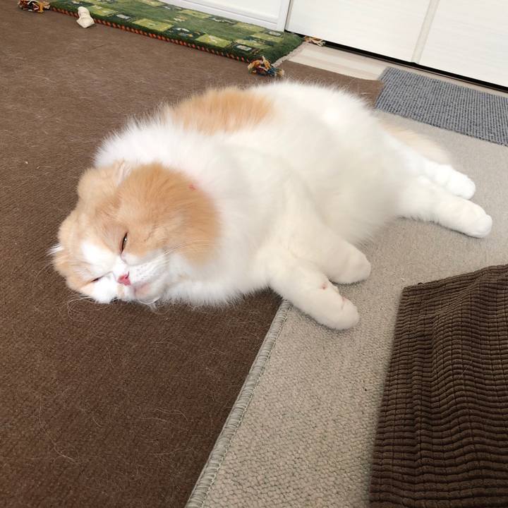 1a47f4a1 aa35 43a9 85d9 4964cc24791a 1620962867192