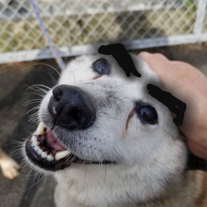 1a47f83d 89d3 4af7 a430 bf46ed057cfd 1759581858839