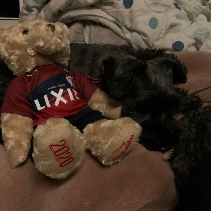 1a48927d 31c7 43a1 a31c 73e2f2a9742f 1598701109783