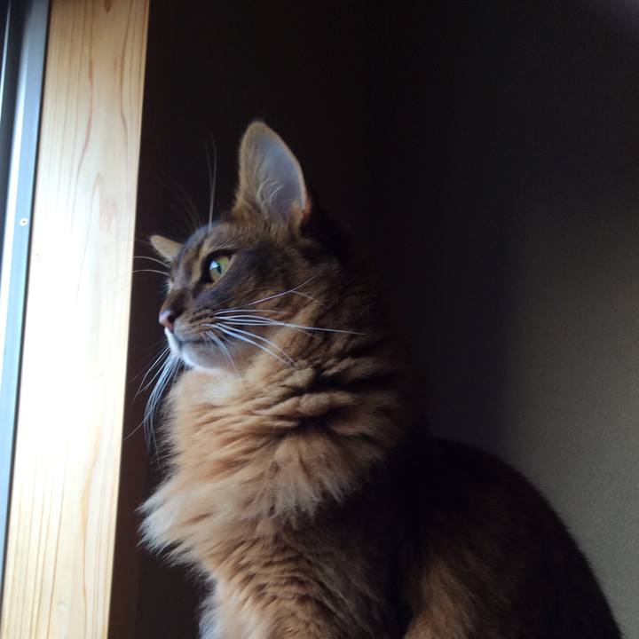 1a489e4f 6d0d 40c3 98ea a2532fa0b555 1598580381537