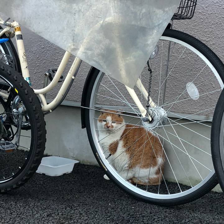 1a48d22a 287b 4028 8026 4b54b8c74063 1580741977804