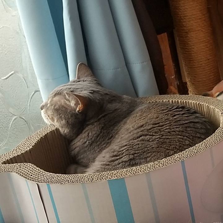 1a48db07 3e7c 43d1 bb63 18c8ee620e5a 1657675912379