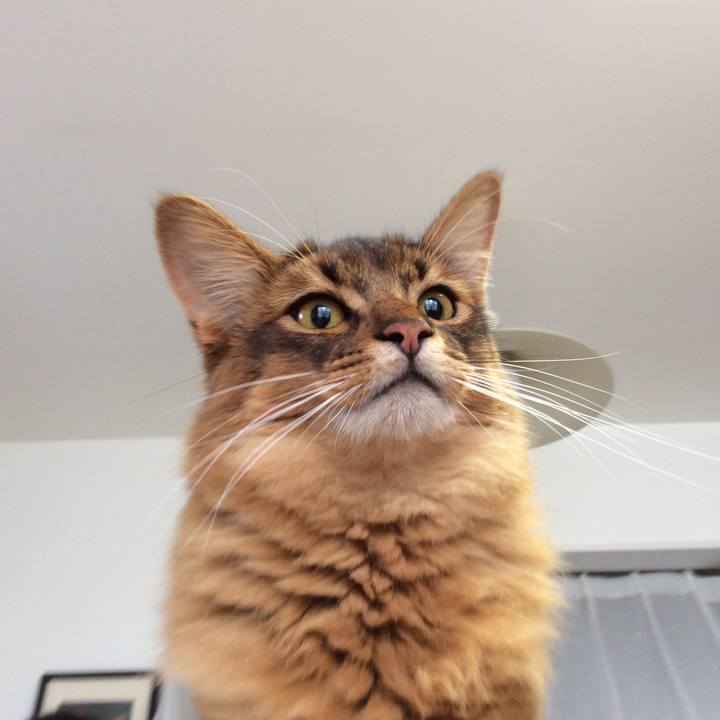 1a48fd13 92ca 4bc8 be73 b6db5d3f5c90 1595476640362