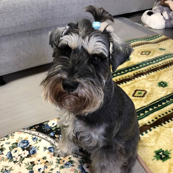 1a497c4b 0145 4ab8 aaf4 4e3629f55cb6 1584664334981