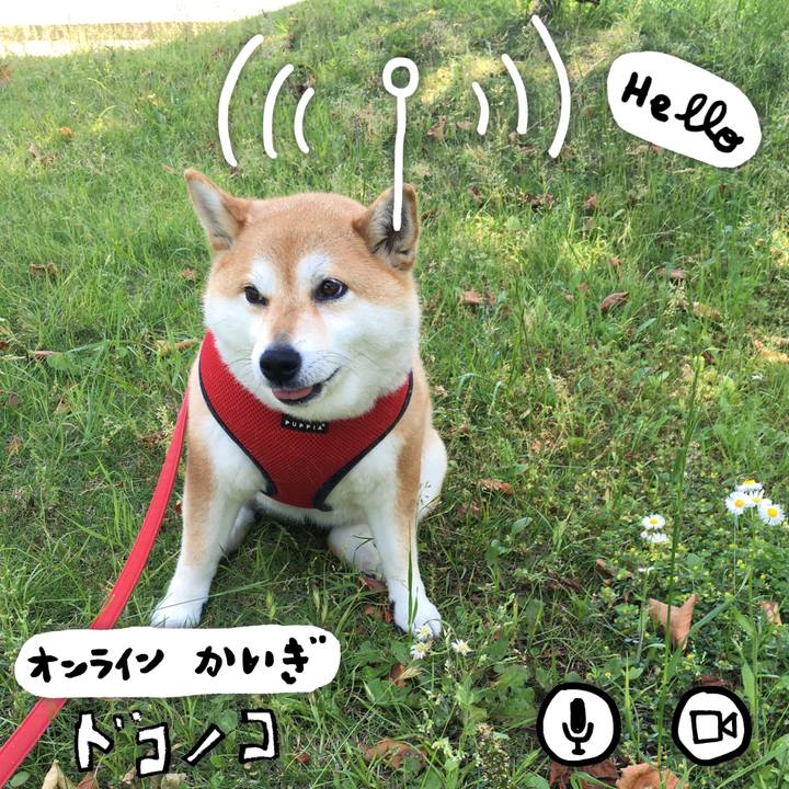 1a49afdc 1158 4397 8d81 4cc805c2e8a1 1590739732602