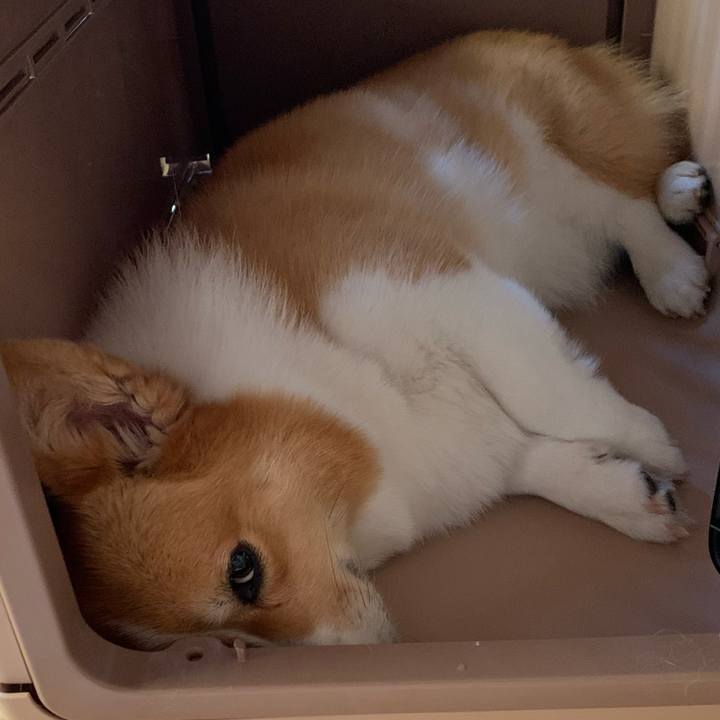 1a49d1ed 4b07 45bb b25a e3d162eeb553 1626594600544